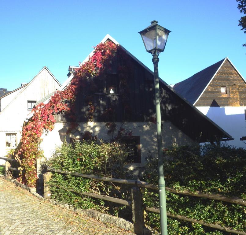 Ferienhaus Frieda Altenberg Bagian luar foto